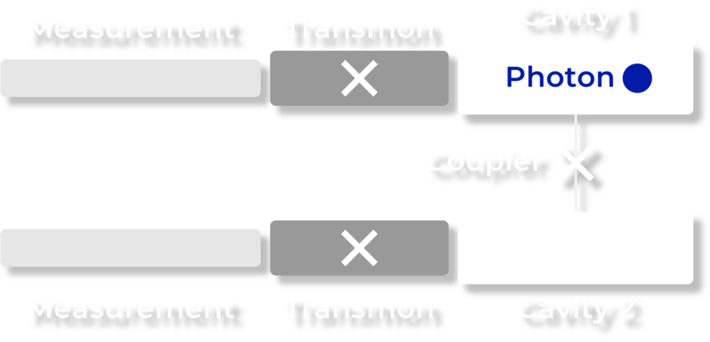 Dual-Rail Qubit